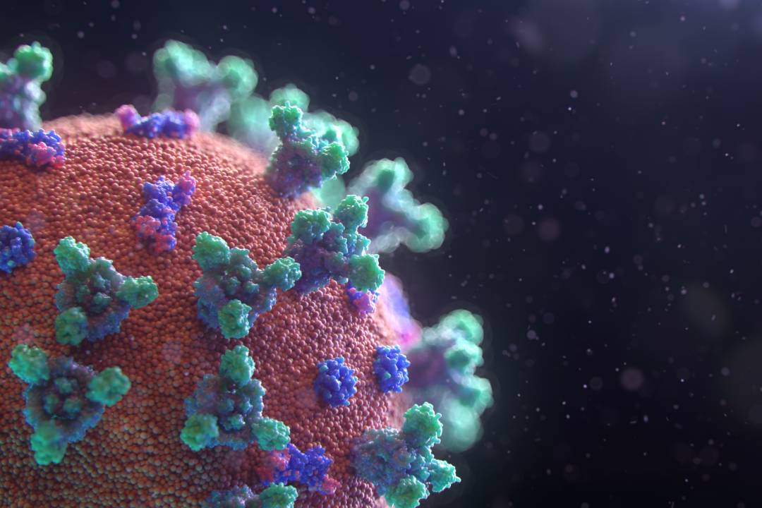 fusion-medical-animation-Corona-virus